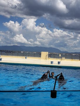 マリンワールド海の中道に投稿された画像（2023/8/3）
