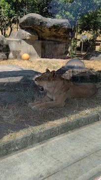 東武動物公園に投稿された画像（2023/8/3）