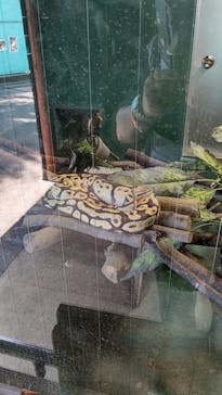 東武動物公園に投稿された画像（2023/8/3）