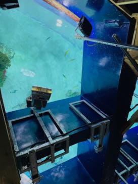 サンシャイン水族館に投稿された画像（2023/8/3）