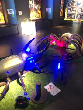 昆虫最強王図鑑展に投稿された画像（2023/8/3）