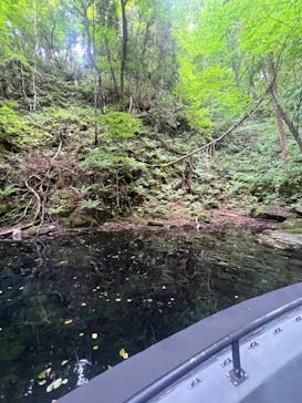 グリランド株式会社に投稿された画像（2023/8/3）