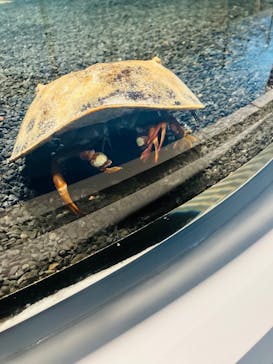 AOAO SAPPOROに投稿された画像（2023/8/3）