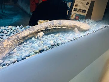 AOAO SAPPOROに投稿された画像（2023/8/3）