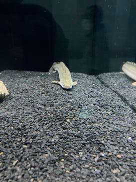 AOAO SAPPOROに投稿された画像（2023/8/3）