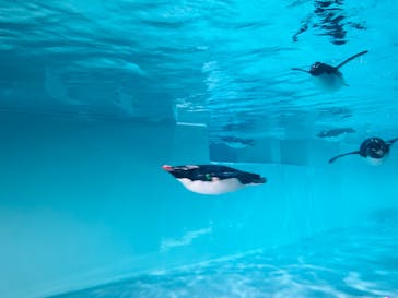 AOAO SAPPOROに投稿された画像（2023/8/3）