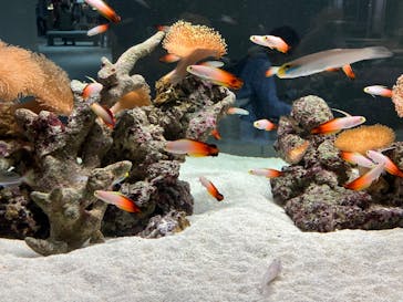 AOAO SAPPOROに投稿された画像（2023/8/3）