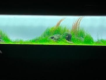 AOAO SAPPOROに投稿された画像（2023/8/3）