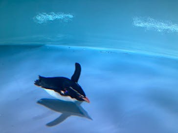 AOAO SAPPOROに投稿された画像（2023/8/3）