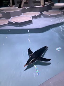 AOAO SAPPOROに投稿された画像（2023/8/3）