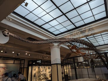 国立科学博物館に投稿された画像（2023/8/3）