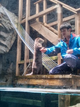 アクアワールド茨城県大洗水族館に投稿された画像（2023/8/3）