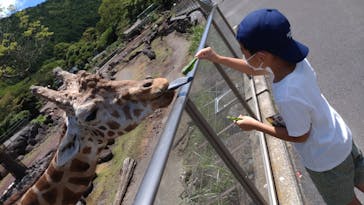 伊豆アニマルキングダムに投稿された画像（2023/8/3）