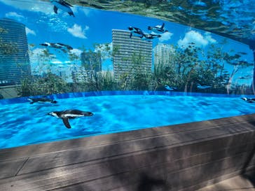サンシャイン水族館に投稿された画像（2023/8/3）