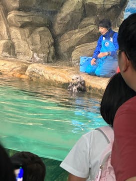 マリンワールド海の中道に投稿された画像（2023/8/3）