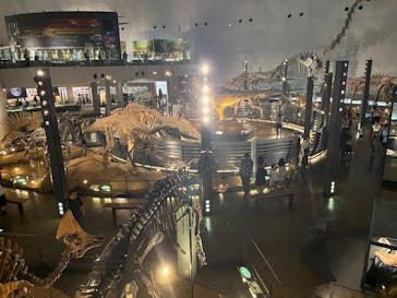 福井県立恐竜博物館に投稿された画像（2023/8/3）