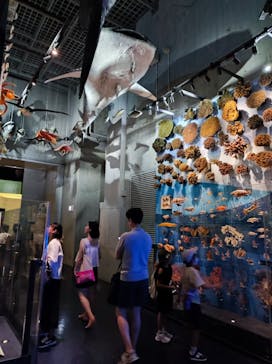 国立科学博物館に投稿された画像（2023/8/3）