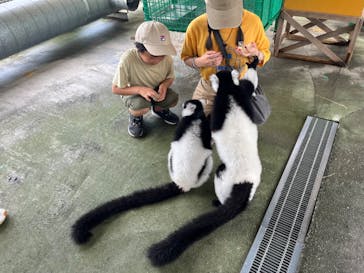 岩手サファリパークに投稿された画像（2023/8/3）