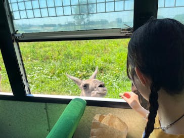 岩手サファリパークに投稿された画像（2023/8/3）