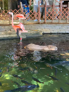 横浜・八景島シーパラダイスに投稿された画像（2023/8/3）