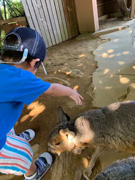 横浜・八景島シーパラダイスに投稿された画像（2023/8/3）
