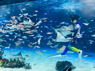 サンシャイン水族館に投稿された画像（2023/8/3）