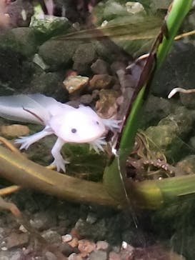 体感型動物園iZooに投稿された画像（2023/8/3）