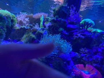 名古屋港水族館に投稿された画像（2023/8/3）