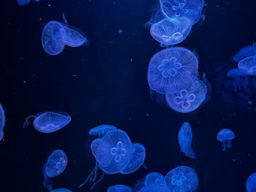 AOAO SAPPOROに投稿された画像（2023/8/3）