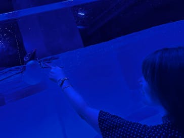 AOAO SAPPOROに投稿された画像（2023/8/3）