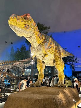 福井県立恐竜博物館に投稿された画像（2023/8/3）