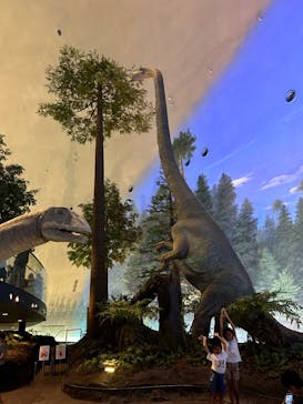 福井県立恐竜博物館に投稿された画像（2023/8/3）