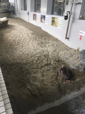 名古屋港水族館に投稿された画像（2023/8/3）