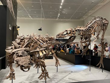 大阪市立自然史博物館に投稿された画像（2023/8/3）