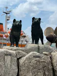 名古屋港水族館に投稿された画像（2023/8/4）