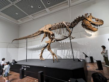 大阪市立自然史博物館に投稿された画像（2023/8/3）