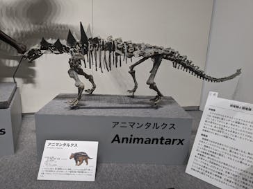 大阪市立自然史博物館に投稿された画像（2023/8/3）