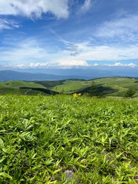 車山高原SKYPARK RESORTに投稿された画像（2023/8/3）