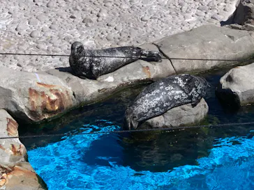 横浜・八景島シーパラダイスに投稿された画像（2023/8/4）