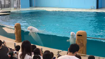 横浜・八景島シーパラダイスに投稿された画像（2023/8/4）