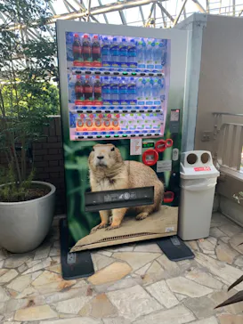 横浜・八景島シーパラダイスに投稿された画像（2023/8/4）