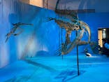 DinoScience 恐竜科学博 2023@TOKYO MIDTOWNに投稿された画像（2023/8/4）
