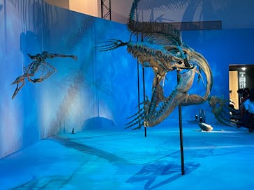 DinoScience 恐竜科学博 2023@TOKYO MIDTOWNに投稿された画像（2023/8/4）