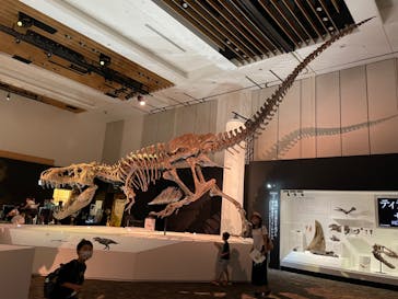DinoScience 恐竜科学博 2023@TOKYO MIDTOWNに投稿された画像（2023/8/4）