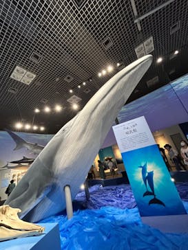 特別展「海　―生命のみなもと―」（国立科学博物館）に投稿された画像（2023/8/4）