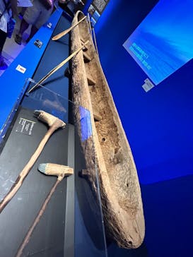 特別展「海　―生命のみなもと―」（国立科学博物館）に投稿された画像（2023/8/4）