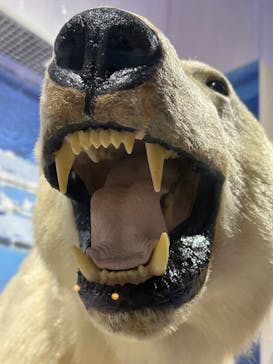 特別展「海　―生命のみなもと―」（国立科学博物館）に投稿された画像（2023/8/4）