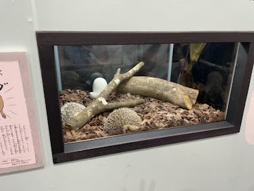 特別展「ざんねんないきもの事典」に投稿された画像（2023/8/4）