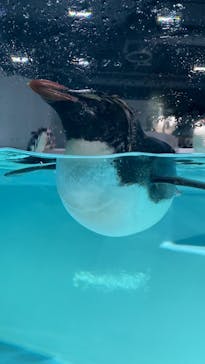 AOAO SAPPOROに投稿された画像（2023/8/4）