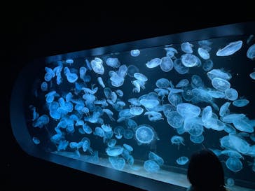 AOAO SAPPOROに投稿された画像（2023/8/4）